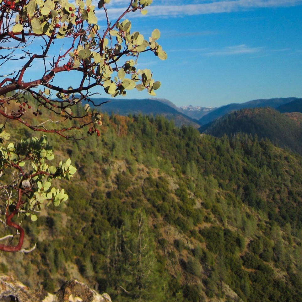 American River, North Fork 4