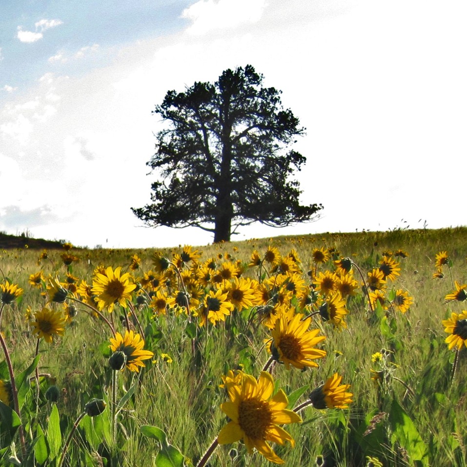 Klamath River, Camp Creek 2 1